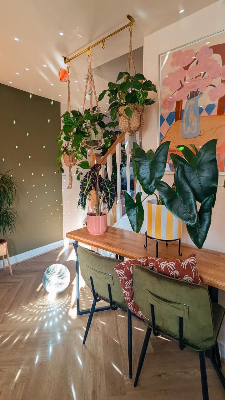 DIY Ceiling Rail Plant Display